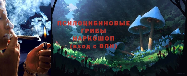 кокс Бородино