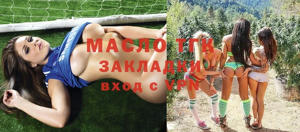 гидра Володарск