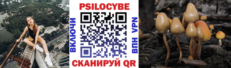 Галлюциногенные грибы Psilocybine cubensis  ссылка на мегу tor  Высоцк  где продают  